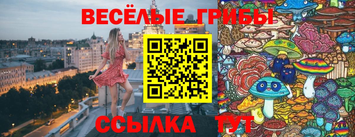 Псков  Псилоцибиновые грибы MAGIC MUSHROOMS  Галлюциногенные грибы Psilocybine cubensis  закладки  Вход с VPN 